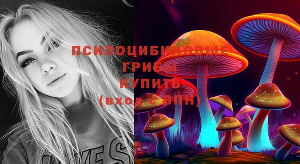 гашиш Аркадак