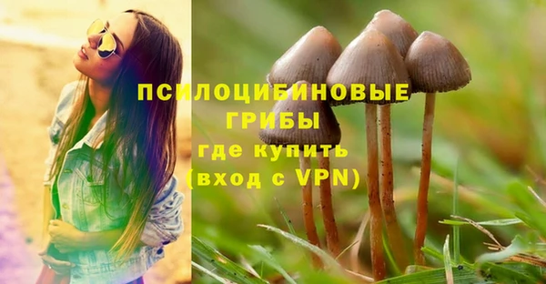 МДПВ Армянск