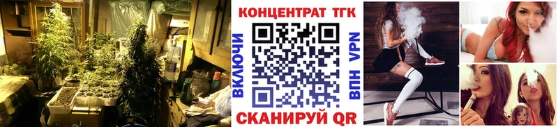 ТГК Wax  Окуловка 